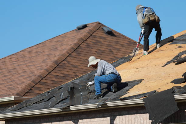 Steel Roofing in Alamo, NV